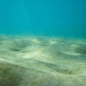 background, windows wallpaper, blue, floor, ocean, sand, sea, cool backgrounds, full hd wallpaper, seabed, wallpaper 4k, 4k wallpaper 1920x1080, hd wallpaper, under, underwater, beautiful wallpaper, wallpaper hd, water, wet, seabed, free background, seabed, 4k wallpaper, seabed, seabed, seabed, underwater, laptop wallpaper, desktop backgrounds, mac wallpaper, nature, free wallpaper, underwater, underwater