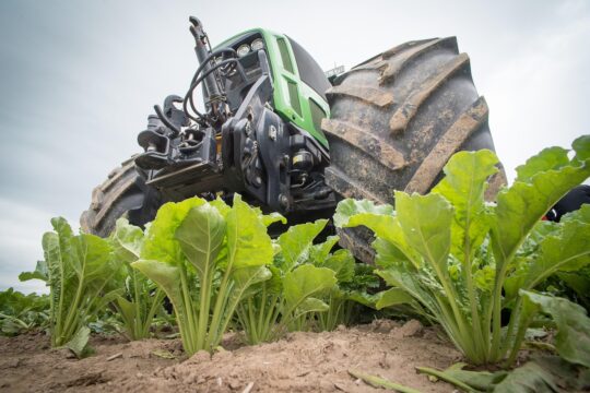 sugar beet, agriculture, tractor, fields, beets, field, farmer, sugar beet, sugar beet, sugar beet, sugar beet, sugar beet, tractor, tractor, tractor