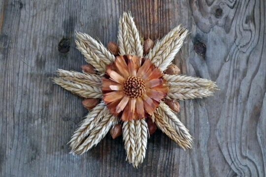 harvest festival, the scenery, ornaments, harvest, cereal, ears of corn, seeds, summer, macro, concept, village, the owner, harvest festival, nature, harvest festival, harvest festival, harvest festival, harvest festival