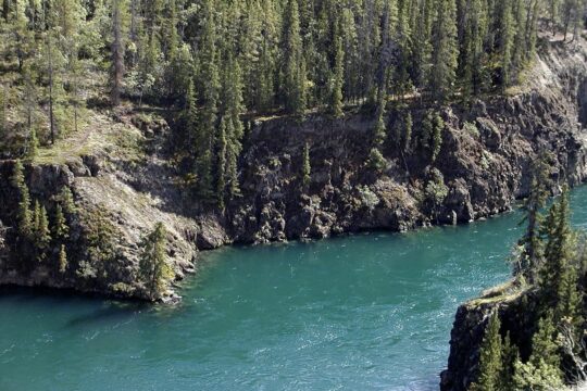 yukon river, yukon territory, canada, landscape, nature, water, yukon river, yukon river, yukon river, yukon river, yukon river, yukon territory