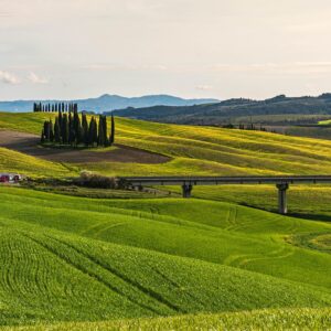 countryside, barley hill, spring, green grass, yellow flowers, wildflowers, nature, trees, horizon, travel, toscany, italy, photo, bridge