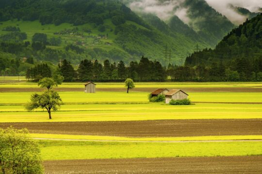 field, valley, landscape, countryside, meadow, farm, rural, hut, arable, village, nature, grüsch, schiers, graubünden, grisons, switzerland, field, landscape, farm, farm, farm, farm, farm, village, village, village, nature, switzerland