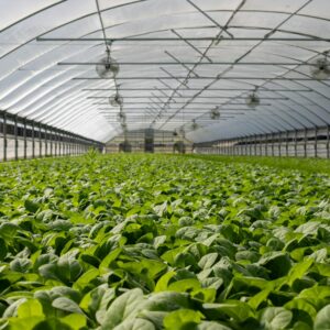 wniosek o wpis do ewidencji producentów