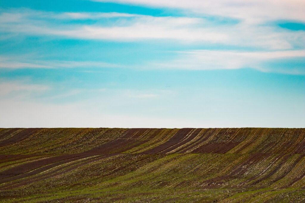 producent rolny definicja