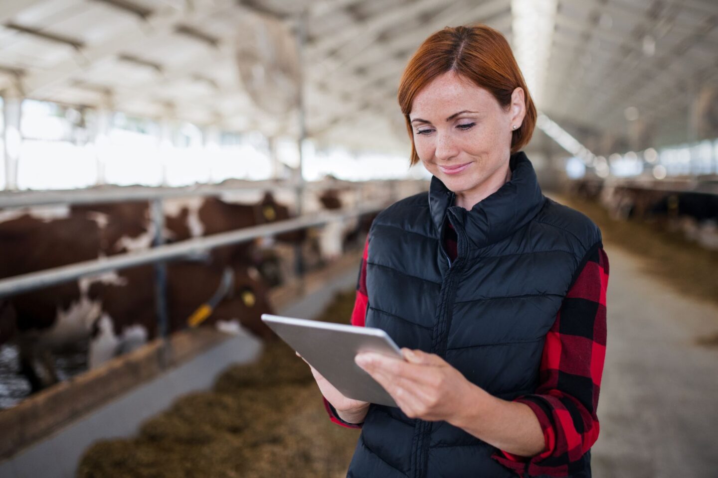 Jak usprawnić codzienną pracę w gospodarstwie? Praktyczne rozwiązania dla rolników i hodowców