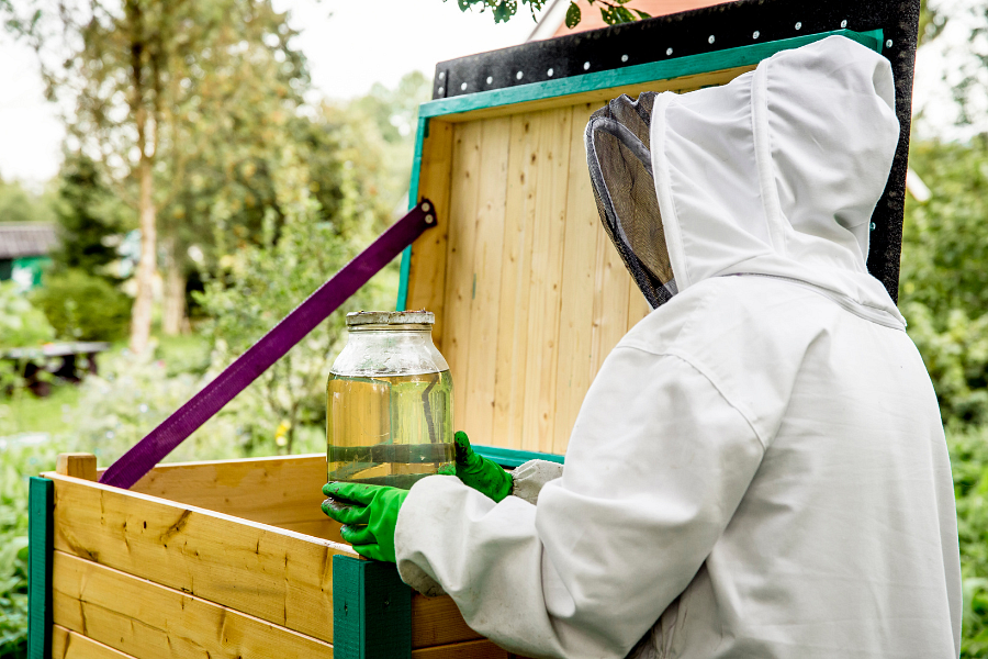 Syrop inwertowany dla pszczół jako element wsparcia pasieki w okresach niedoboru pożytku